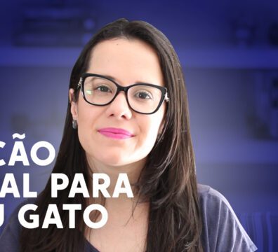 VÍDEO 23