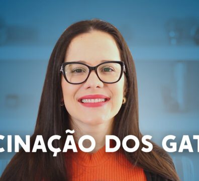VÍDEO 36