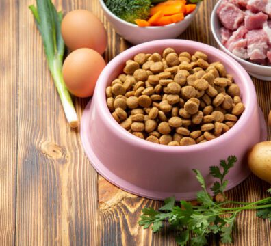 Healthy fresh pet food ingredients on dark background