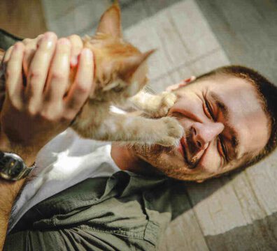 a young guy lies on the floor and hugs maine coon cats. Fun with kittens. Man in white T-shirt holding kitten in hands. male cat lover. the cat touches the man's face