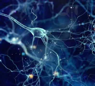 26_epilepsia_3