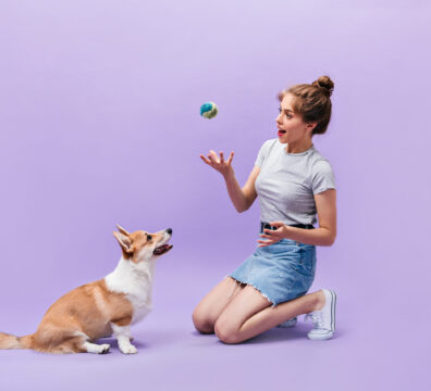 Girl sits on floor and plays with dog. Happy young woman in white sneakers posing with ball and corgi on purple background..
