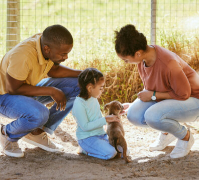 Adoção de animais na semana do meio ambiente
