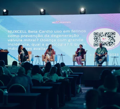 Perguntas e Respostas sobre NUXCELL