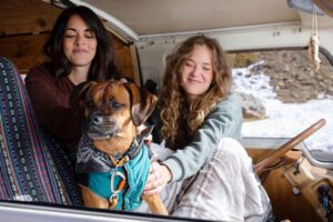 Guia para viajar de carro com o pet (sem estresse)