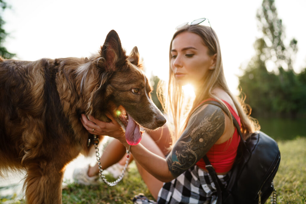 cuidados de tutores para saúde mental de pets