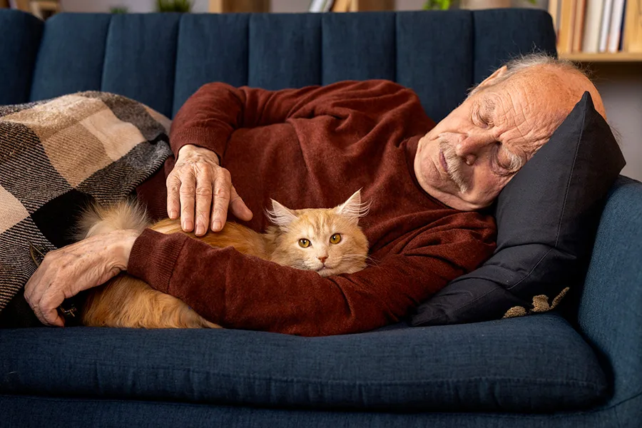 qualidade de vida para pets idosos