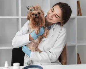 saúde-pet
